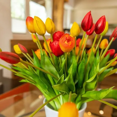 Appartement Haus Mia Zermatt