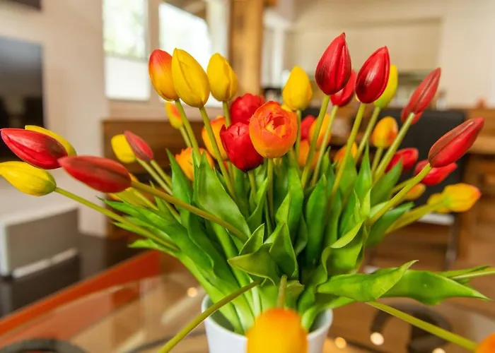 Daire Haus Mia Zermatt