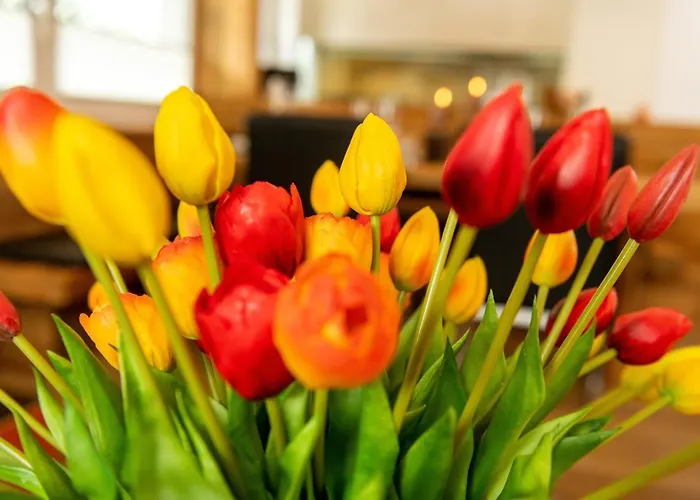 Haus Mia * زيرمات